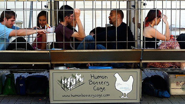 Civil disobedience in support of animals to progress social change