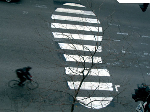 Street Art Critiques Car Culture