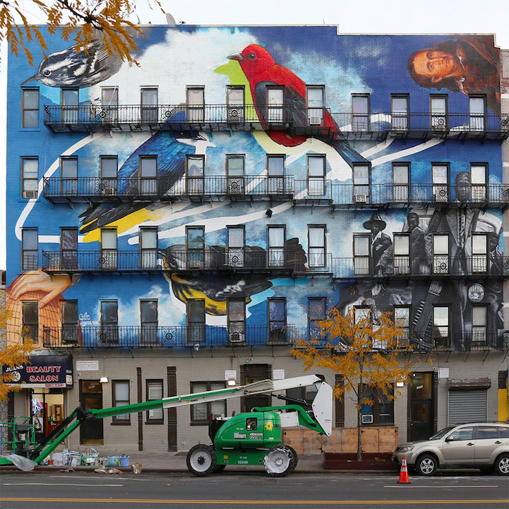Street Art Project Uses Building Facades to Spread the Word About 314 Endangered Bird Species