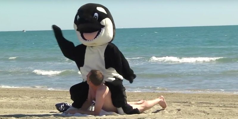 What If We Switch Positions With Whales?