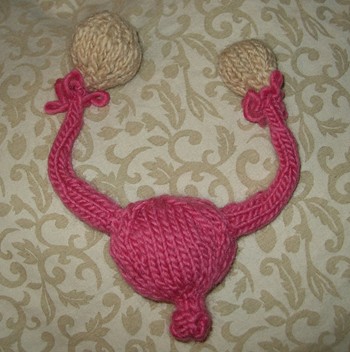 Ovary Funny: Womens’ Rights Project Hopes to Have Members of Congress In Stitches