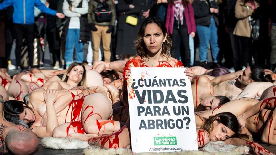 Fur in Madrid: Controversy and Critique