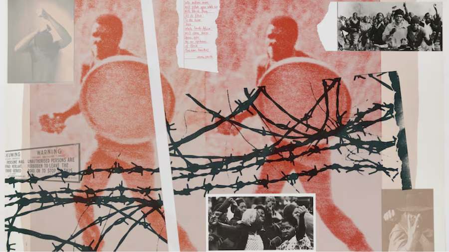 Once banned for his work, anti-apartheid activist highlights role of politics in art