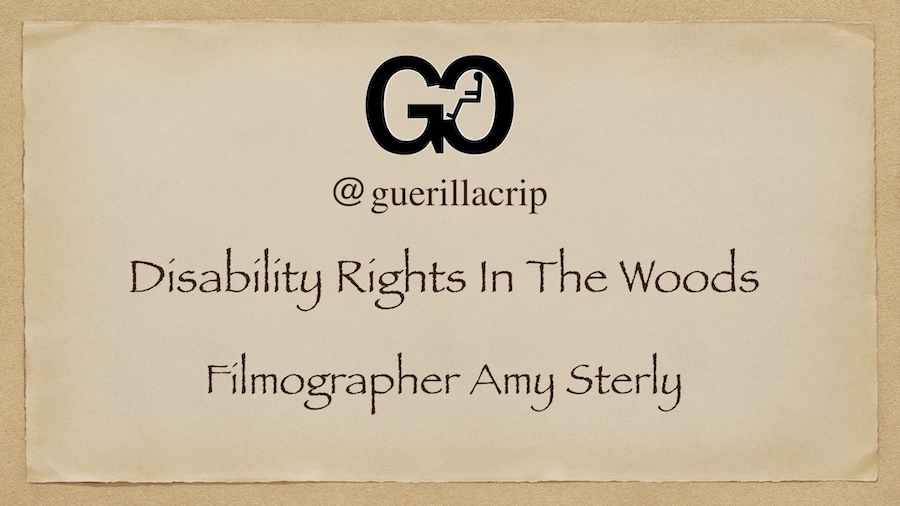 Disability Rights In The Woods