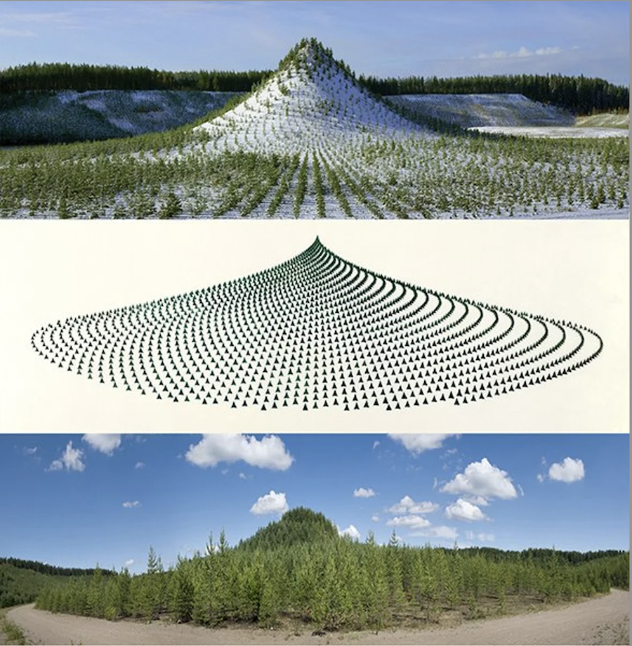Tree Mountain-A Living Time Capsule