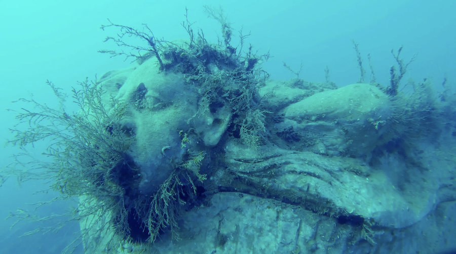 Undersea Art Gallery That Ensnares Illegal Trawlers
