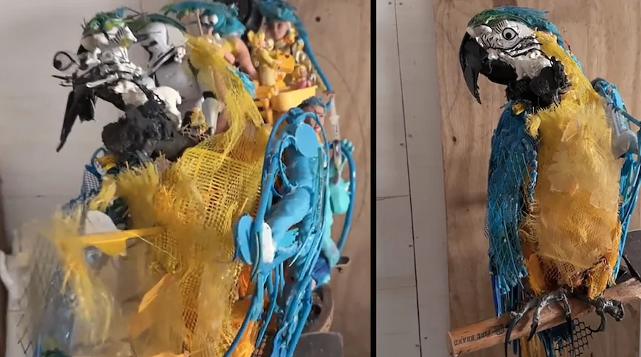 The Rhode Island-based artist creates sculptures from trash that look like wildlife from one perspective — but reveal themselves as much more when you take a closer look.