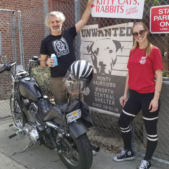 Animal-rights activist Le Fou Uses Street Art To Save Animals