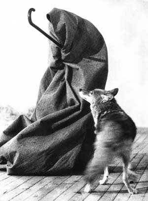 Joseph Beuys, Coyote: I like America and America Likes Me, May 1974