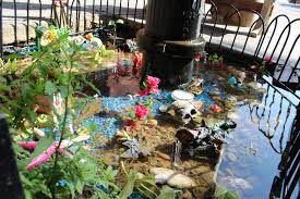 Bed-Stuy Aquarium