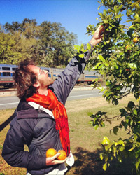 Falling Fruit